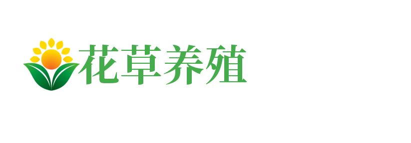 ob体育官网入口(中国)有限公司